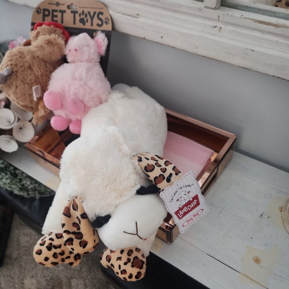 Pet Toys